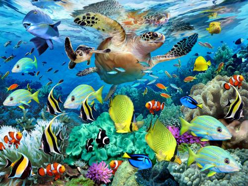 Puzzle 150 pièces XXL Ravensburger Le paradis sous l'eau État correct N/A (Il n'y a pas assez d'in reconditionné disponible sur Fnac