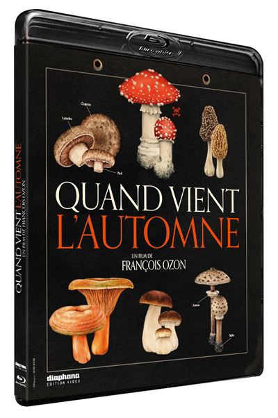 Quand vient l’automne Blu-ray État correct reconditionné disponible sur Fnac