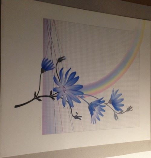 Rainbow 2 - Edition Esch - 50x60 cm - AFFICHE / POSTER État correct N/A reconditionné disponible sur Fnac