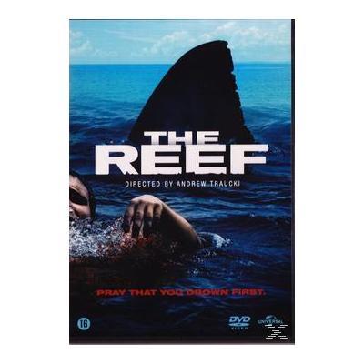 REEF-VN État correct reconditionné disponible sur Fnac