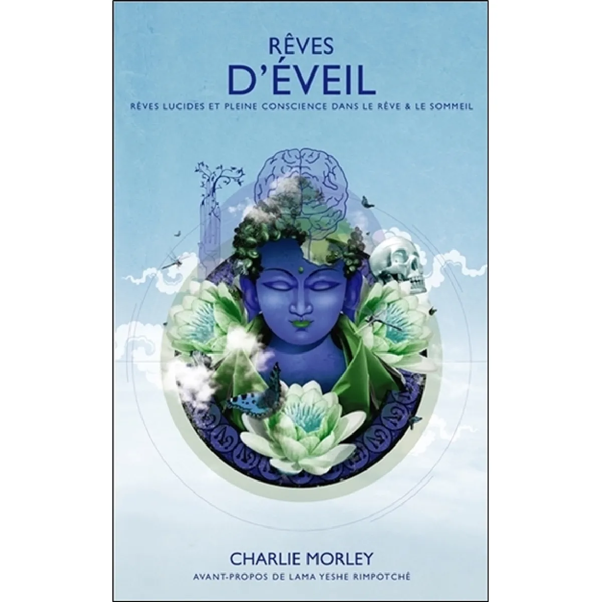 Acheter Rêves d'éveil : rêves lucides et pleine conscience dans le rêve et le sommeil : êtes-vous en train de rêver ? État correct - 13,92 € Rêves d'éveil : rêves lucides et pleine conscience dans le rêve et le sommeil : êtes-vous en train de rêver ? État correct N/A (Il ne s'agit pas d'une marque reconditionné disponible sur Rue du Commerce Seconde Vie
