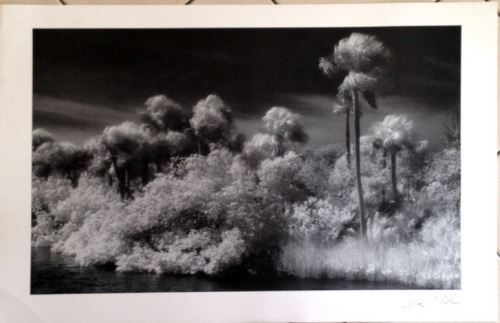 Richard Elkins - 60x91 cm - AFFICHE / POSTER État correct reconditionné disponible sur Fnac
