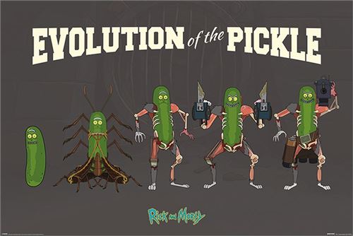 Acheter Rick and Morty Maxi Poster 61 x 91,5 cm Evolution Of The Pickle État correct - 10,48 € Rick and Morty Maxi Poster 61 x 91,5 cm Evolution Of The Pickle État correct N/A reconditionné disponible sur Fnac