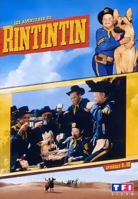 Rintintin 2 Bon état TF1 Studio reconditionné disponible sur Ammareal