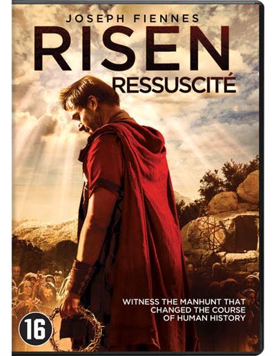 Risen -BIL État correct reconditionné disponible sur Fnac