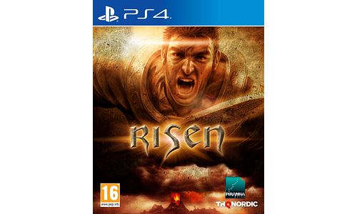 Risen PS4 État correct THQ Nordic reconditionné disponible sur Fnac