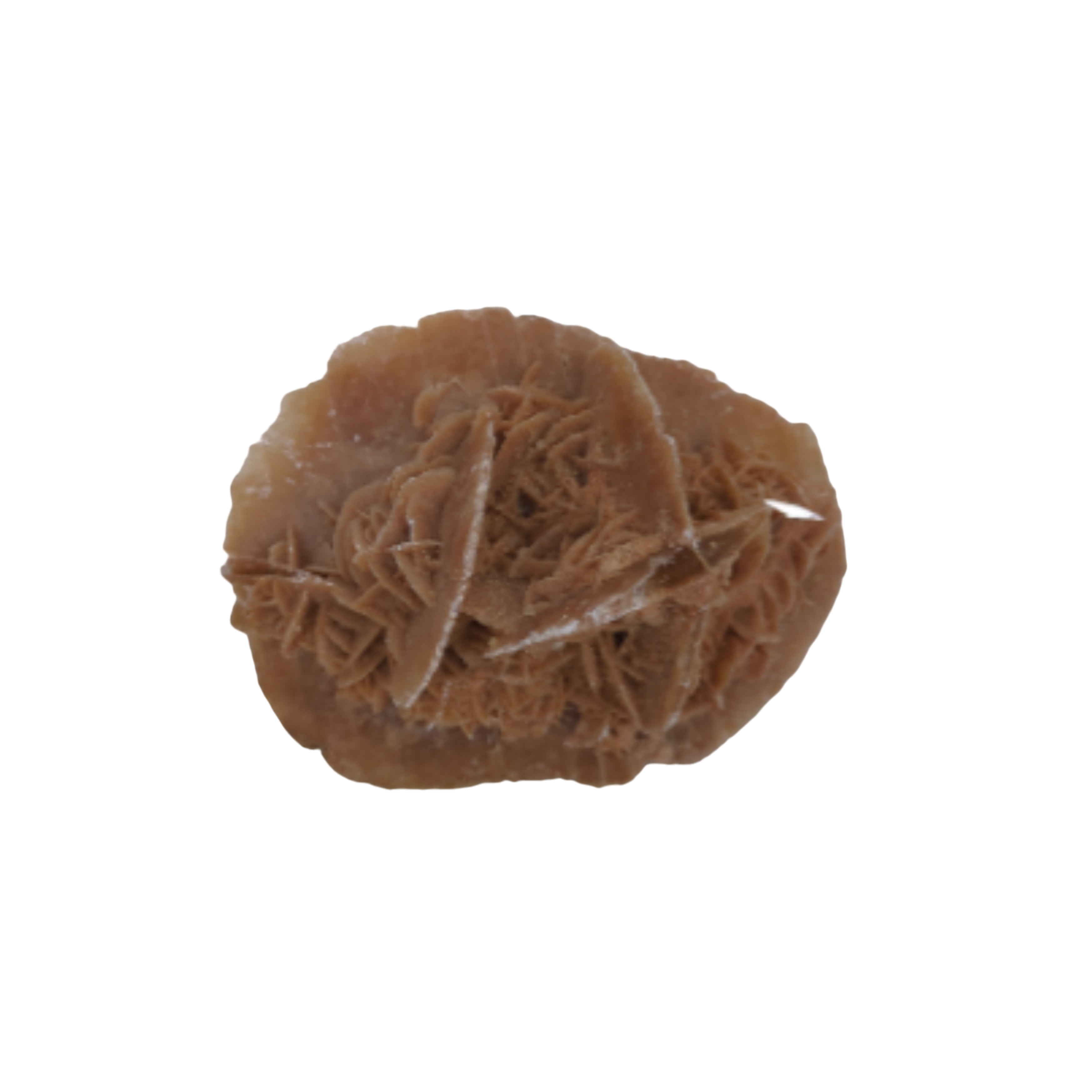 Acheter Rose des vents Bon état - 10,00 € Rose des vents Bon état reconditionné disponible sur Label Emmaüs