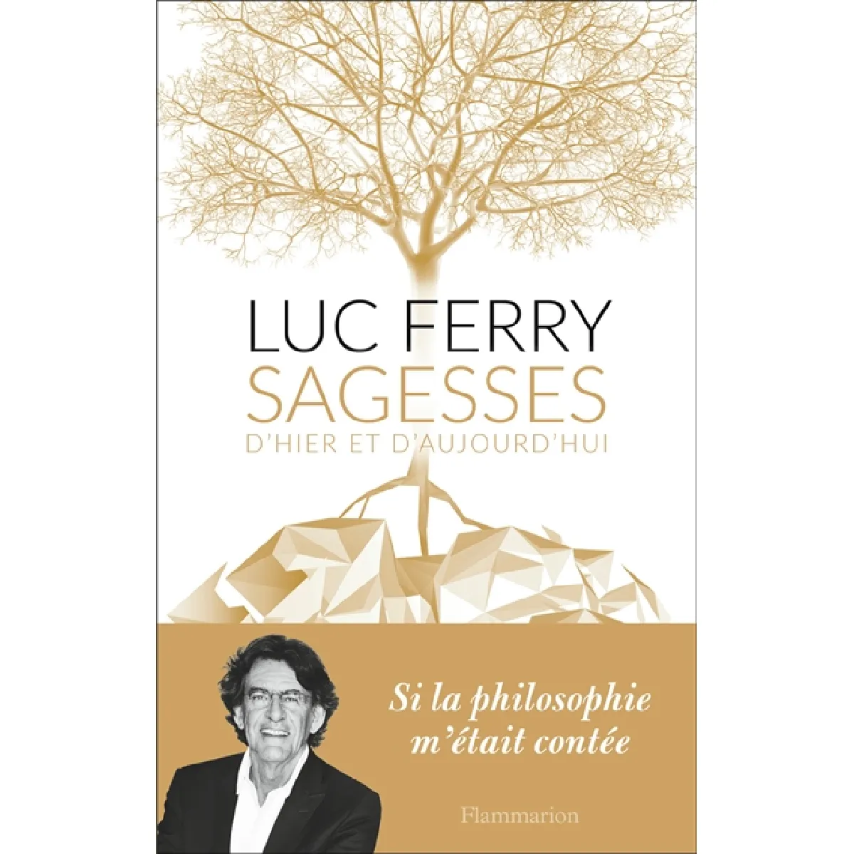 Acheter Sagesses d'hier et d'aujourd'hui État correct - 16,13 € Sagesses d'hier et d'aujourd'hui État correct N/A (Il ne s'agit pas d'une marque reconditionné disponible sur Rue du Commerce Seconde Vie