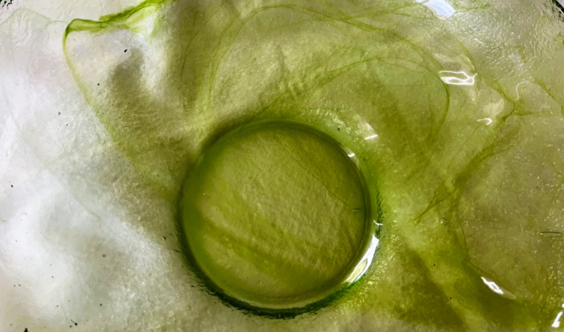 Voir photo 5 de Saladier en verre. Couleur verte. Saladier en verre. Couleur verte. Très bon état reconditionné photo 5