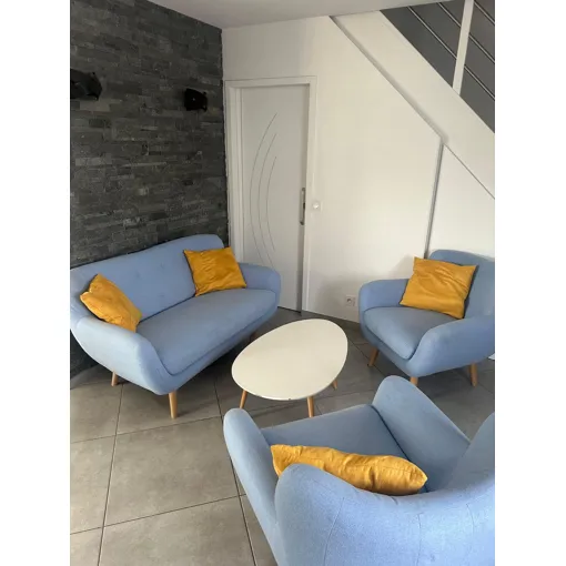 Salon scandinave canapé + 2 fauteuils Bon état reconditionné disponible sur Rakuten