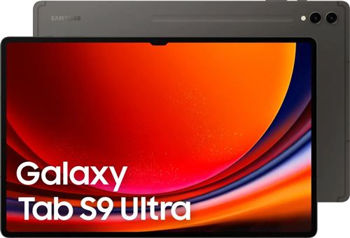 SAMSUNG GALAXY TAB S9 ULTRA 5G 512GB GRAPHITE État correct reconditionné disponible sur Fnac