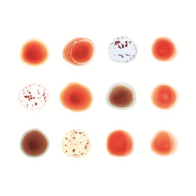 Acheter Scratch My Back And I'll Scratch Yours Coffret État correct - 14,48 € Scratch My Back And I'll Scratch Yours Coffret État correct reconditionné disponible sur Fnac