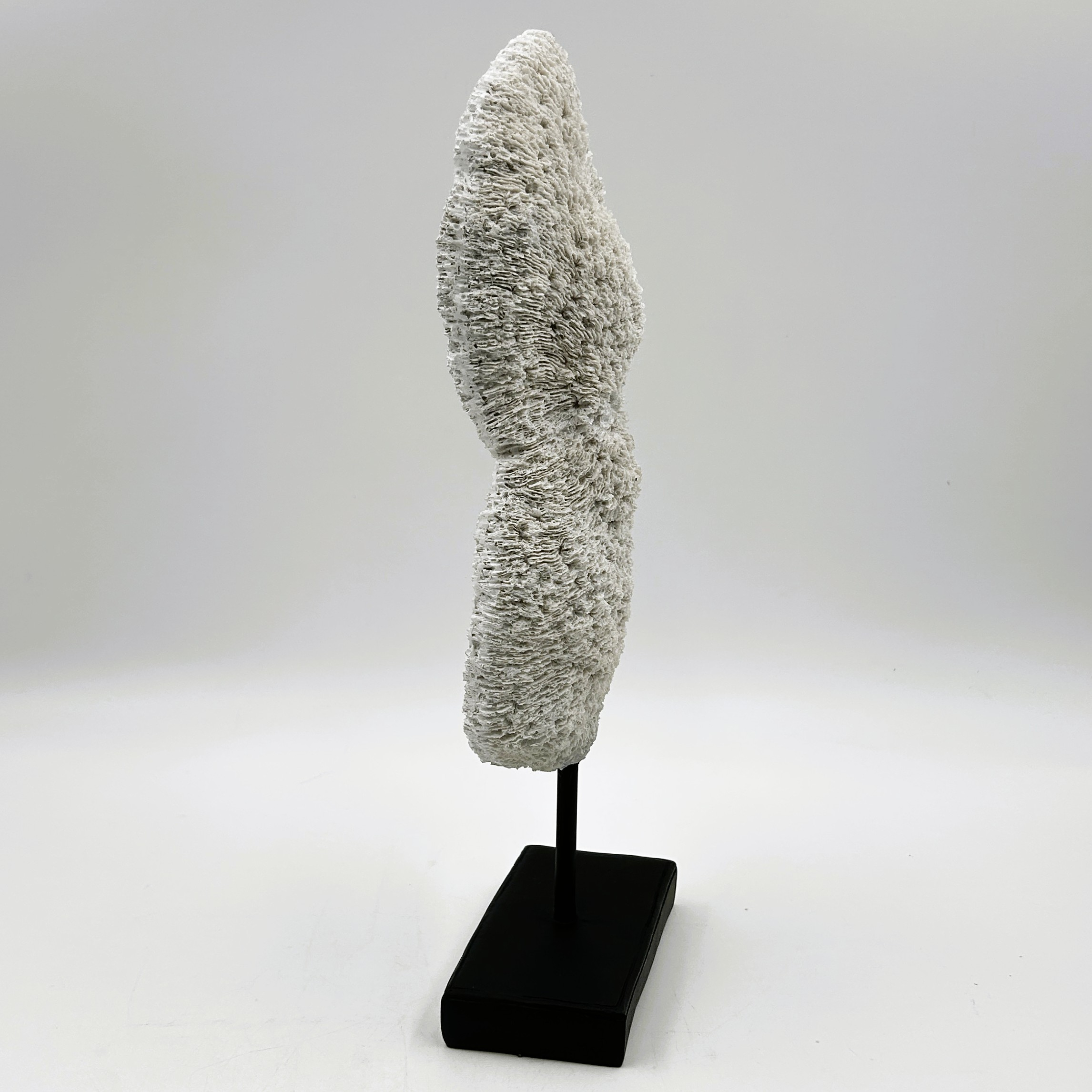 Voir photo 2 de Sculpture abstraite moderne – esprit corail, esprit libre Sculpture abstraite moderne – esprit corail, esprit libre Très bon état reconditionné photo 2