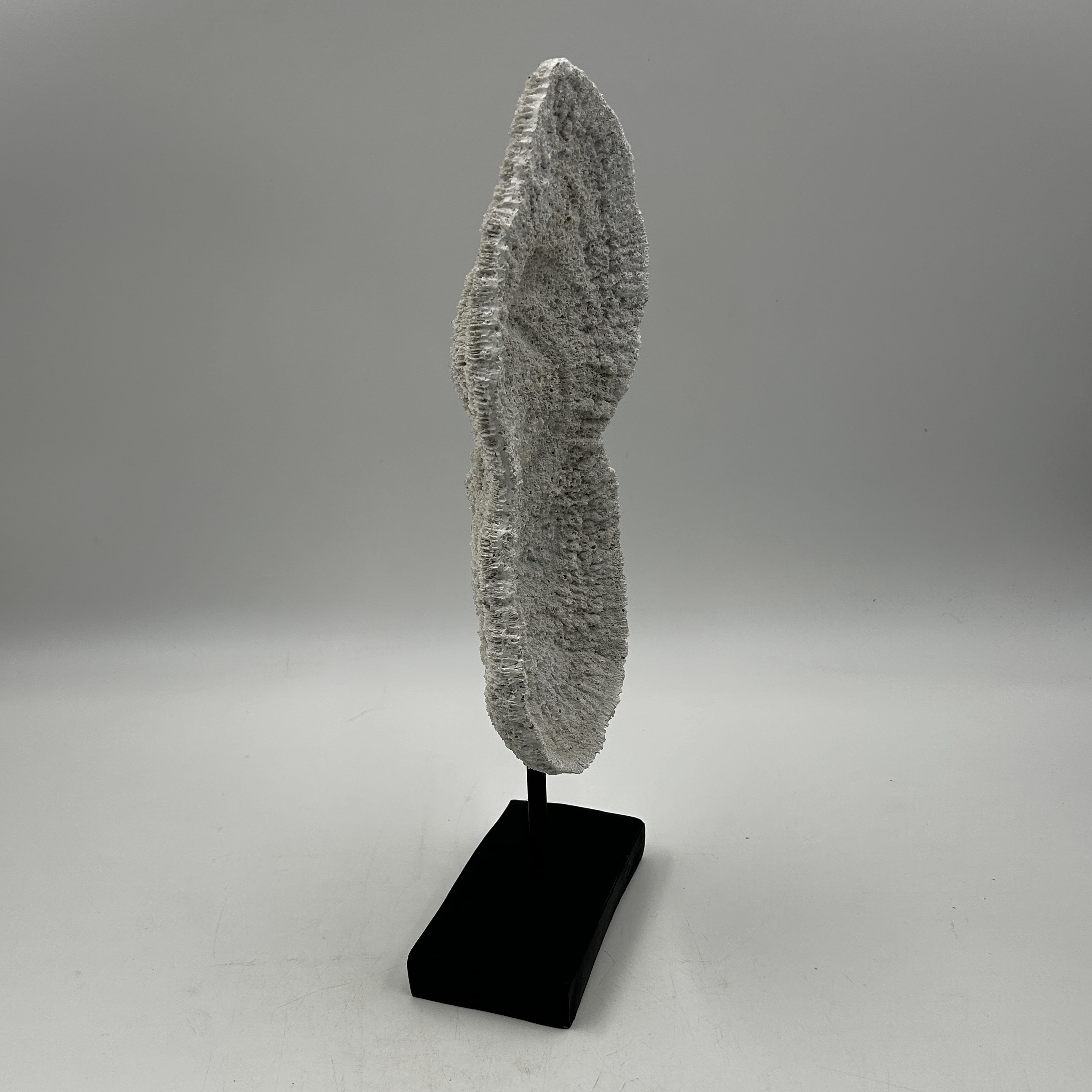 Voir photo 4 de Sculpture abstraite moderne – esprit corail, esprit libre Sculpture abstraite moderne – esprit corail, esprit libre Très bon état reconditionné photo 4