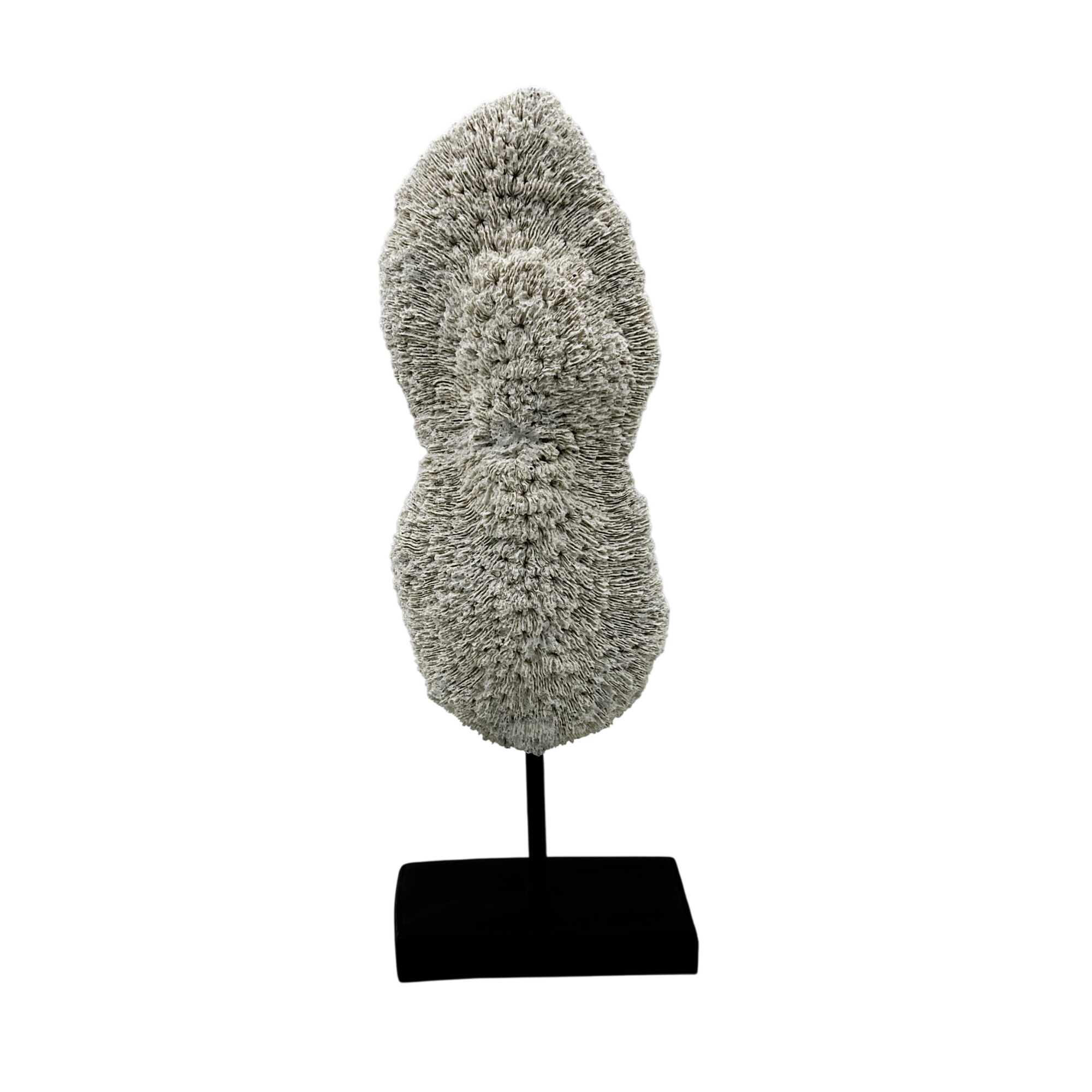 Acheter Sculpture abstraite moderne – esprit corail, esprit libre Très bon état - 15,00 € Sculpture abstraite moderne – esprit corail, esprit libre Très bon état reconditionné disponible sur Label Emmaüs