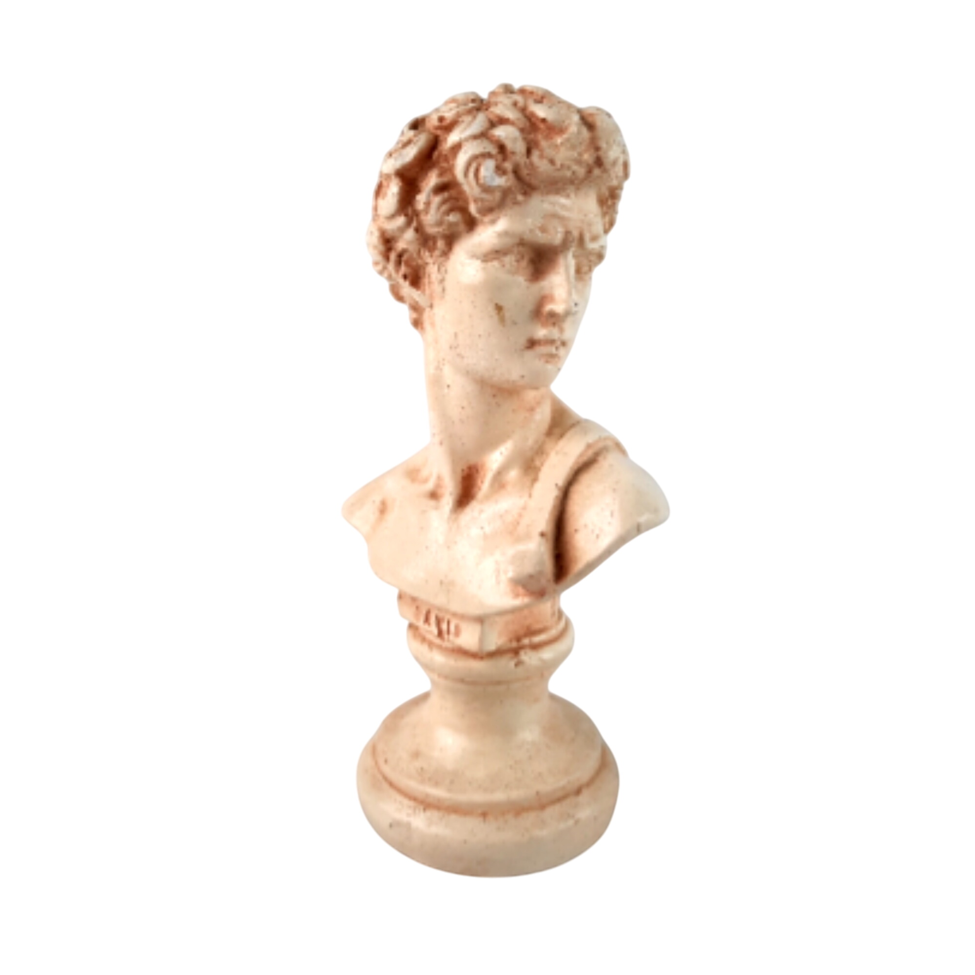Acheter Sculpture buste David Bon état - 10,00 € Sculpture buste David Bon état reconditionné disponible sur Label Emmaüs