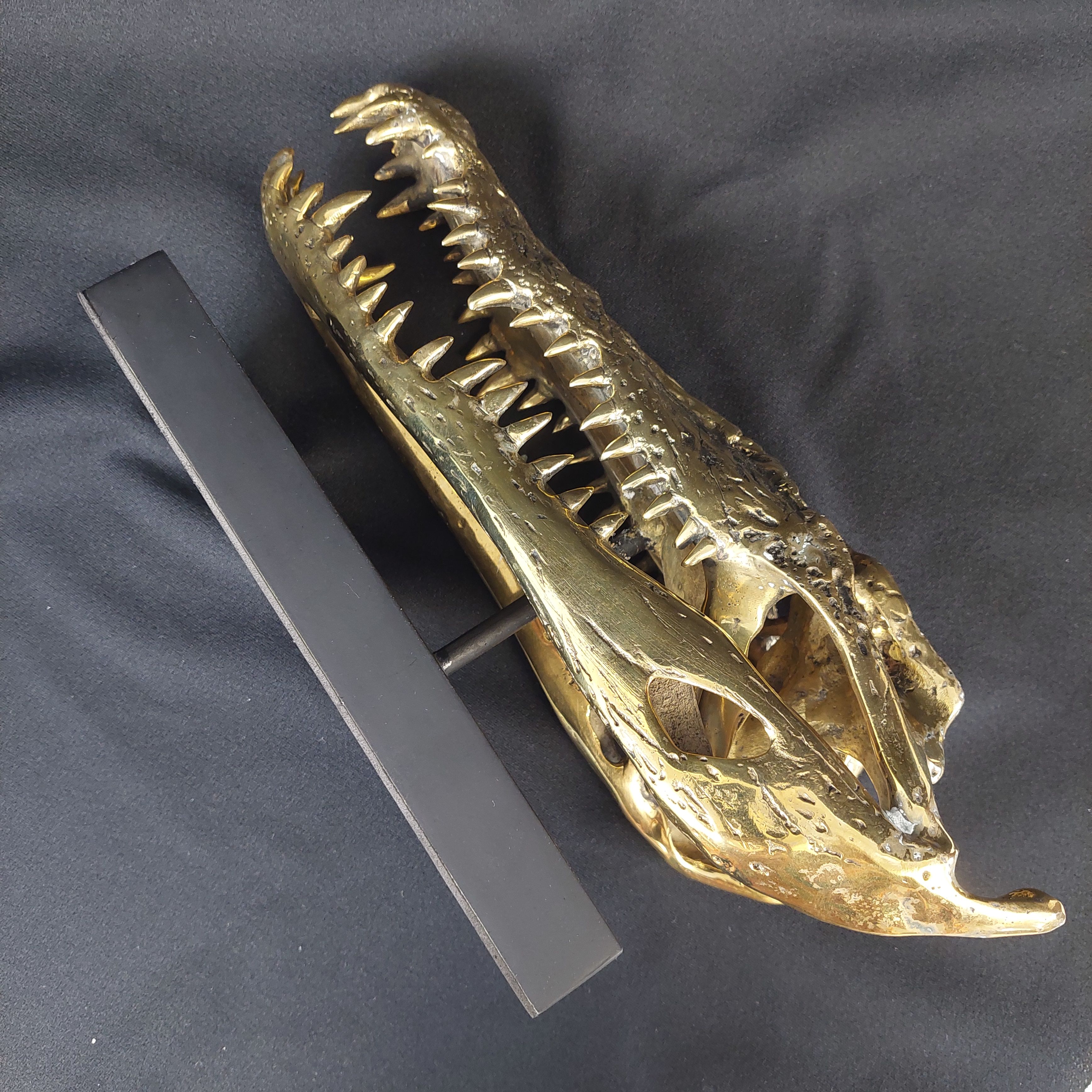 Voir photo 3 de Sculpture Crâne de Crocodile sur Socle Musée // Sculpture Crâne de Crocodile sur Socle Musée // Très bon état reconditionné photo 3