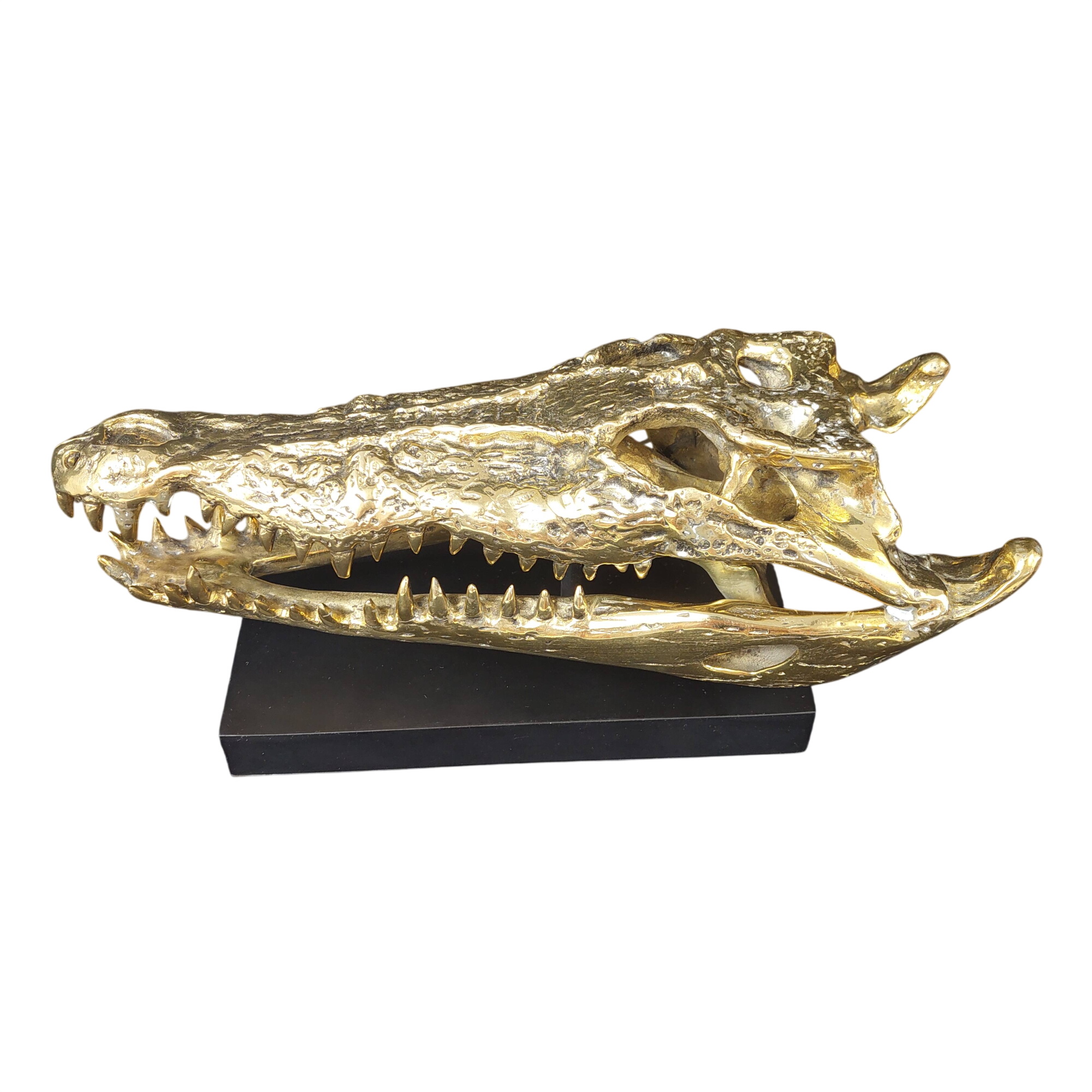 Acheter Sculpture Crâne de Crocodile sur Socle Musée // Très bon état - 190,00 € Sculpture Crâne de Crocodile sur Socle Musée // Très bon état reconditionné disponible sur Label Emmaüs
