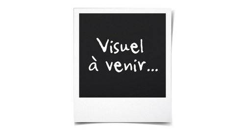 Sèche-linge pompe à chaleur Asko T411HD.W 11 Kg État correct Asko reconditionné disponible sur Fnac