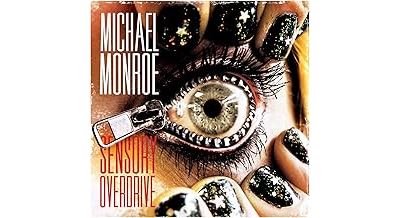 Sensory overdrive État correct reconditionné disponible sur Fnac