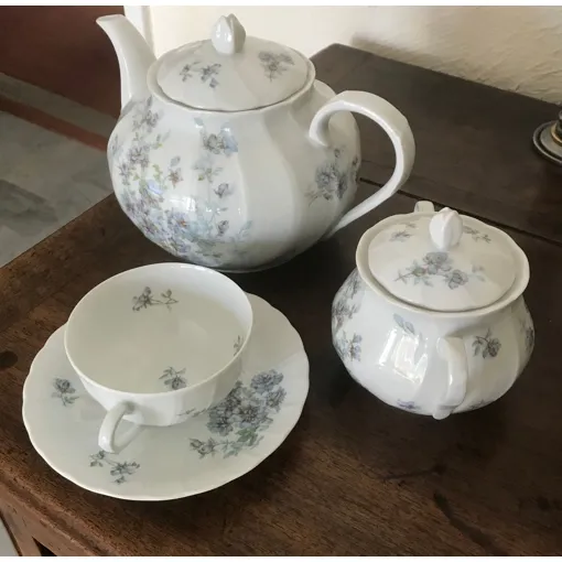 Service Complet De Table Porcelaine De Limoges Gabrielle occasion reconditionné disponible sur Rakuten