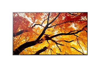 Sharp MultiSync M432 - Classe de diagonale 43" (42.5" visualisable) - M2 Series écran LCD rétro-éclairé par LED - signalisation numérique - avec Bon état NEC Display Solutions reconditionné disponible sur Darty