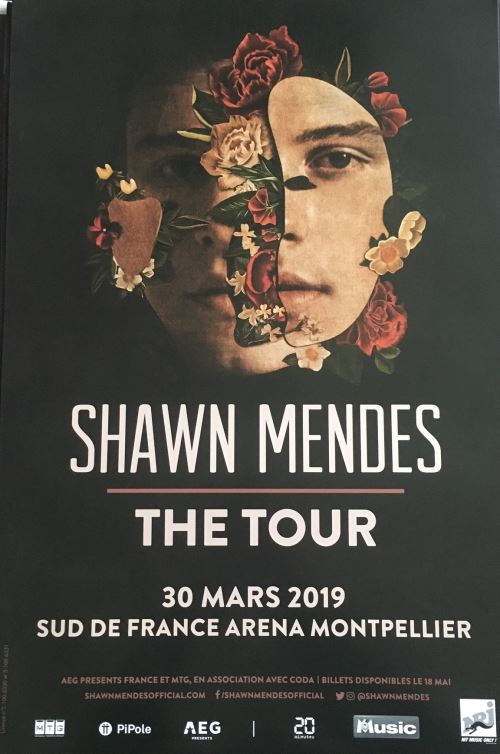 Shawn MENDES - The Tour - AFFICHE État correct N/A reconditionné disponible sur Fnac