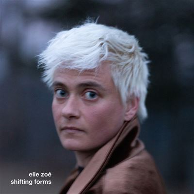 Shifting Forms État correct reconditionné disponible sur Fnac