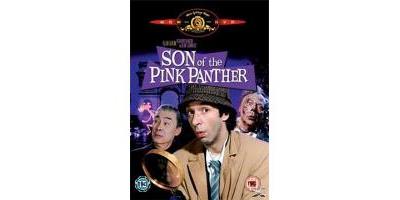 Son Of The Pink Panther État correct - 12,99 € Son Of The Pink Panther État correct reconditionné disponible sur Fnac