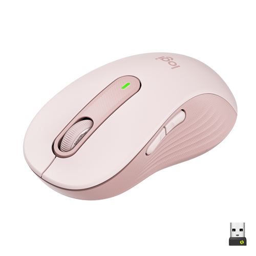 Souris sans fil Logitech Signature M650 L Rose État correct - 28,00 € Souris sans fil Logitech Signature M650 L Rose État correct Logitech reconditionné disponible sur Fnac | Dero