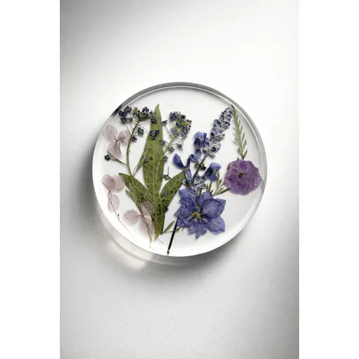 Acheter Sous -Verre Bon état - 10,00 € Sous -Verre Bon état reconditionné disponible sur Rakuten