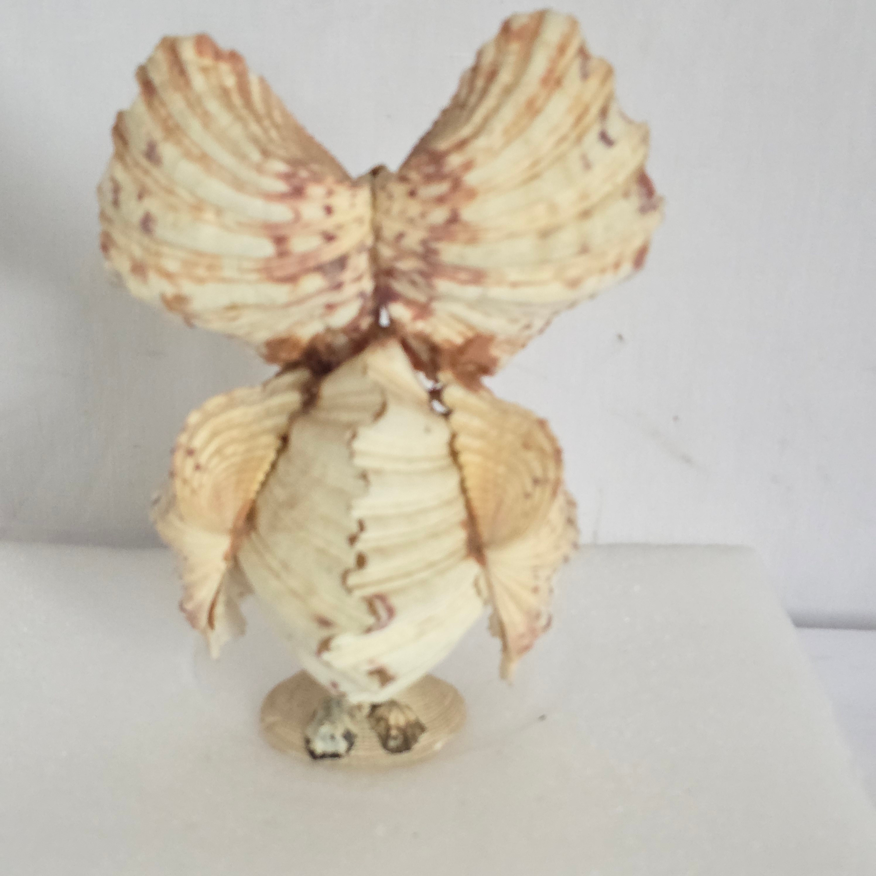 Voir photo 3 de Statuette Hibou en coquillages Statuette Hibou en coquillages Bon état reconditionné photo 3
