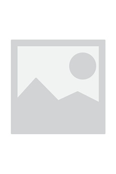 Steep PS4 Bon état N/A reconditionné disponible sur Darty