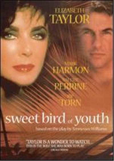Sweet Bird of Youth - DVD Zone 1 État correct - 57,99 € Sweet Bird of Youth - DVD Zone 1 État correct reconditionné disponible sur Fnac