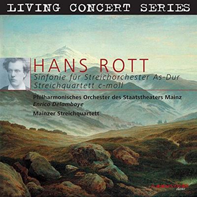 Symphonie pour cordes Quatuor à cordes État correct reconditionné disponible sur Fnac | Dero