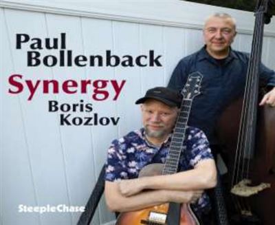 Synergy État correct reconditionné disponible sur Fnac