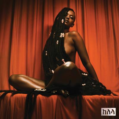 Take Me Apart État correct reconditionné disponible sur Fnac