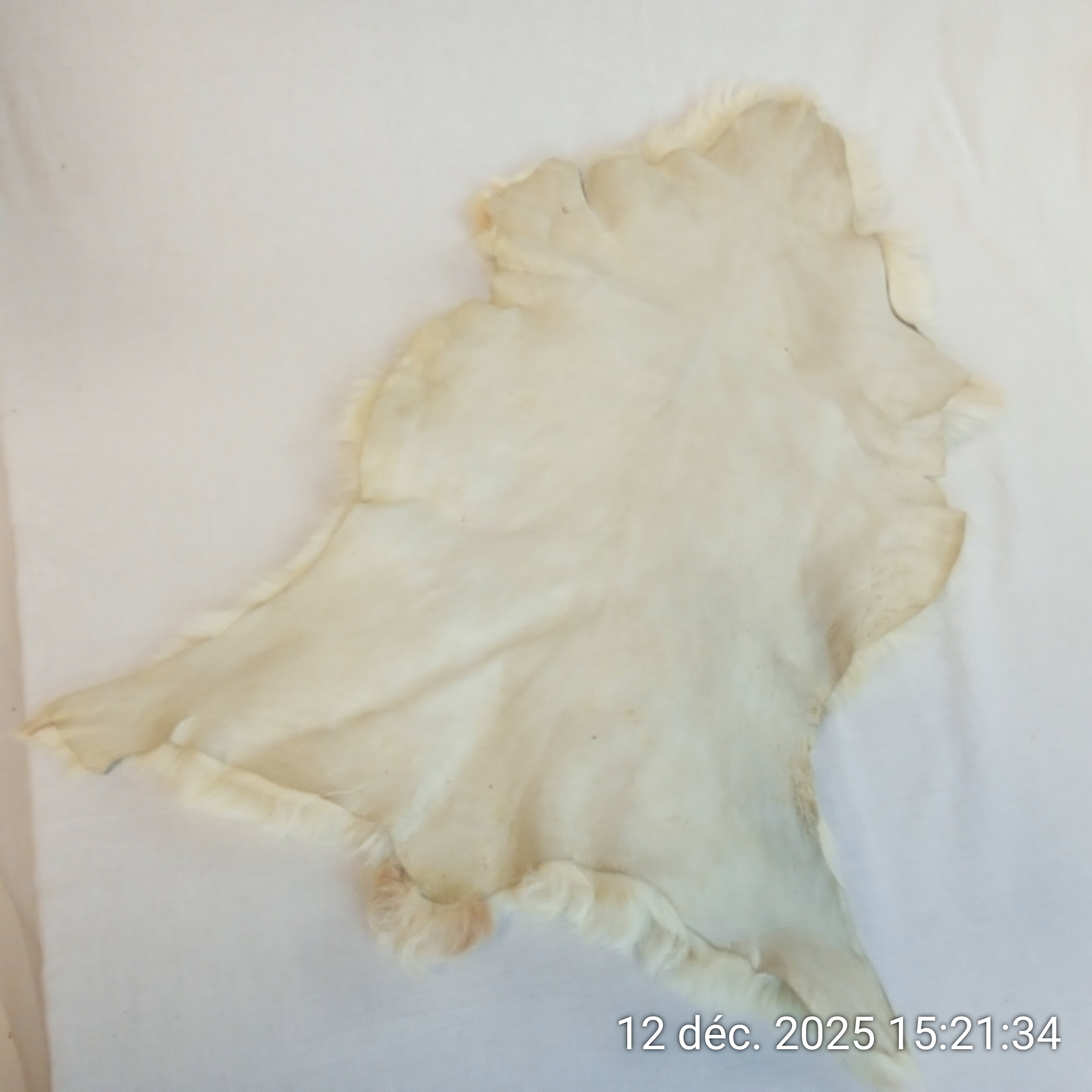 Voir photo 3 de Tapis Descente de lit Peau de mouton 50x70 cm Tapis Descente de lit Peau de mouton 50x70 cm Bon état reconditionné photo 3