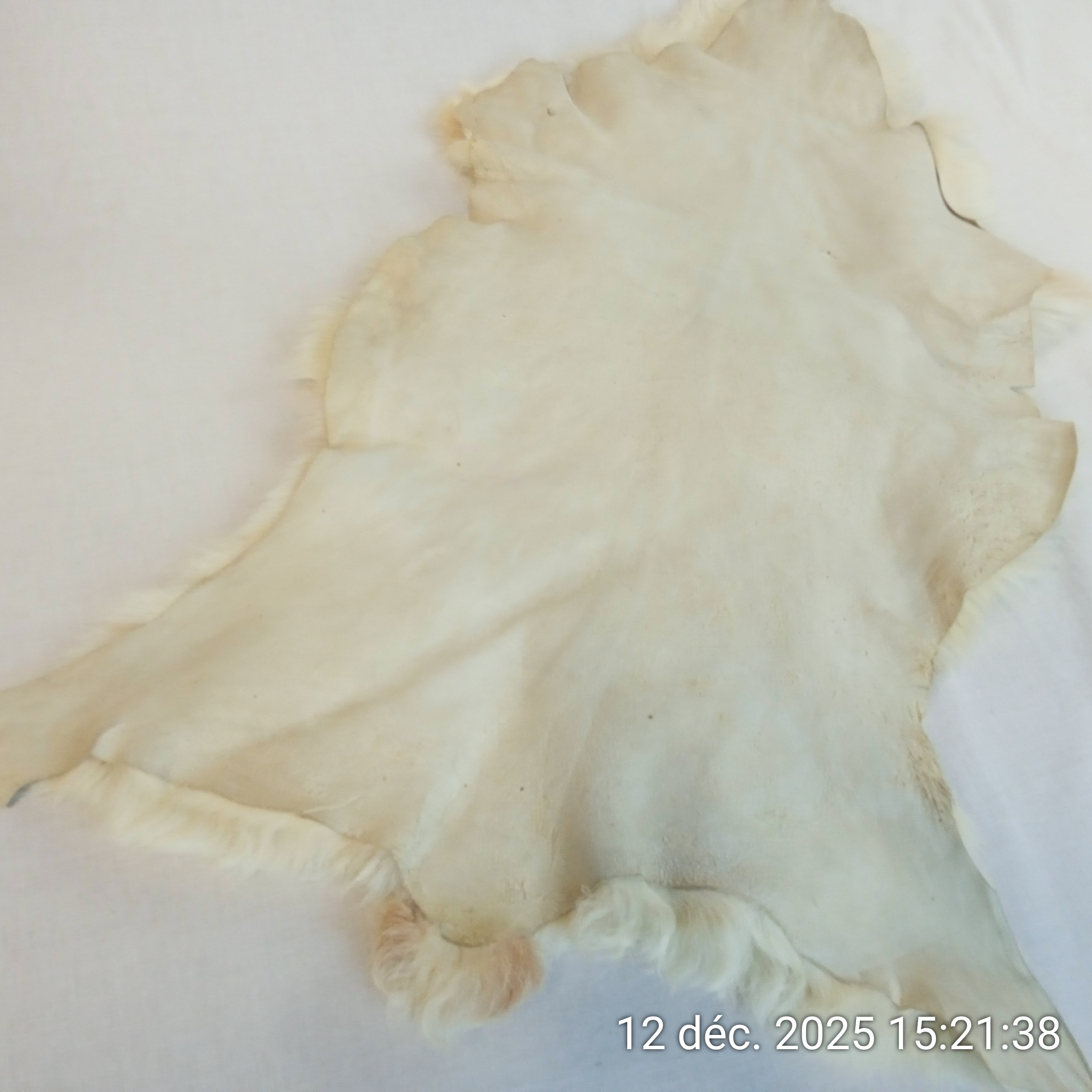 Voir photo 4 de Tapis Descente de lit Peau de mouton 50x70 cm Tapis Descente de lit Peau de mouton 50x70 cm Bon état reconditionné photo 4