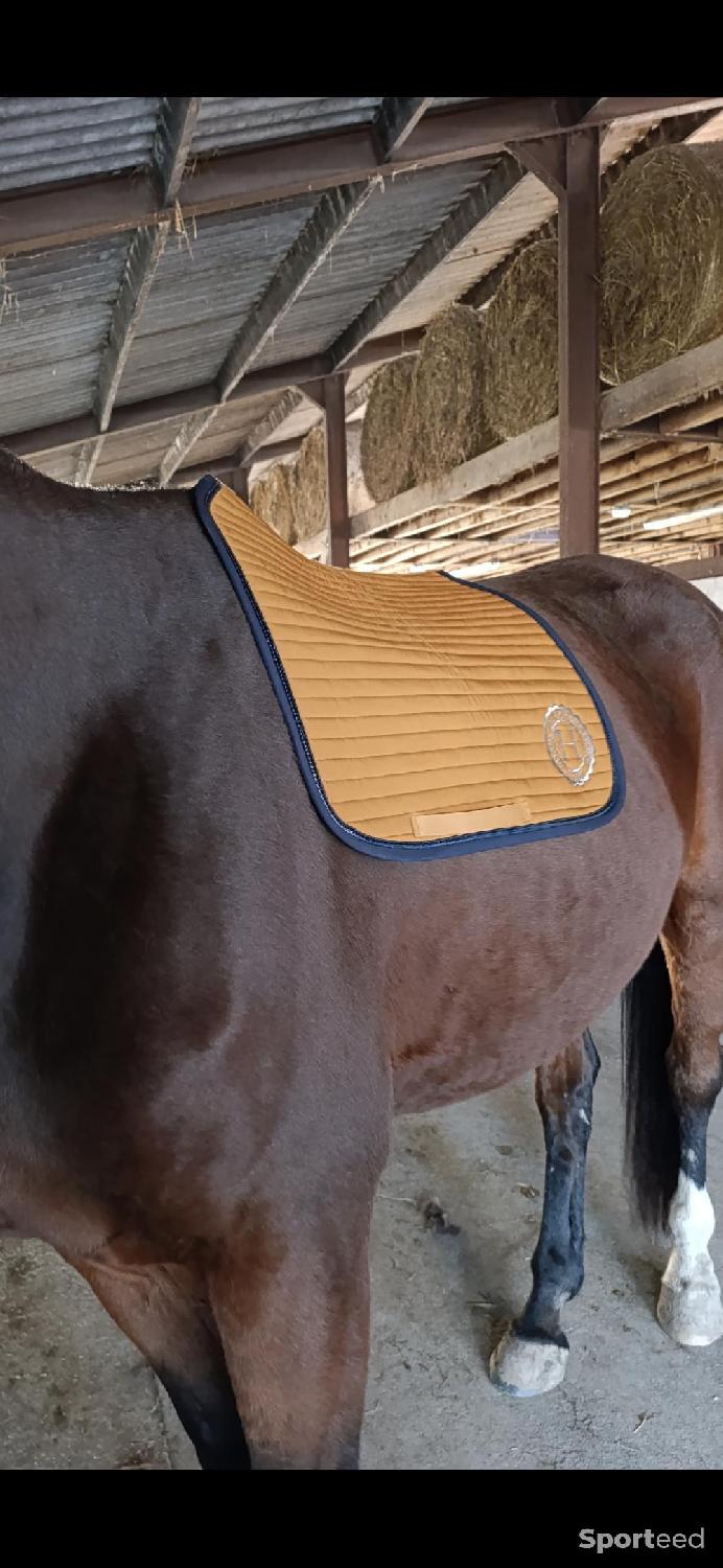 Tapis dressage Harcour karembar Très bon état Harcourt (il est possible que la marque soit Harcourt Paris, une reconditionné disponible sur Sporteed