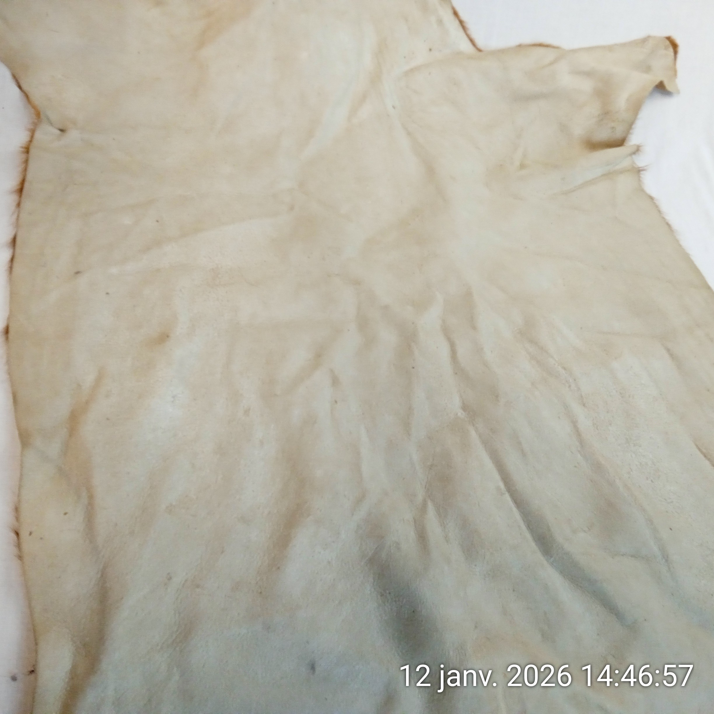 Voir photo 5 de Tapis peau de chèvre Années 70, 115 X 80 cm Tapis peau de chèvre Années 70, 115 X 80 cm Bon état reconditionné photo 5