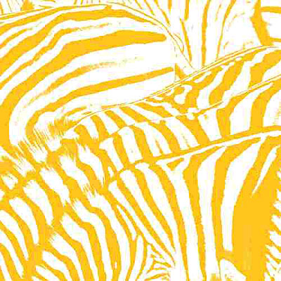 Teen dream État correct reconditionné disponible sur Fnac