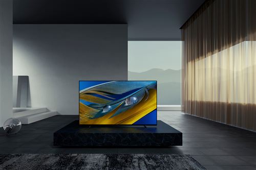 Téléviseur OLED SONY XR-55A80J Bon état Sony reconditionné disponible sur Underdog