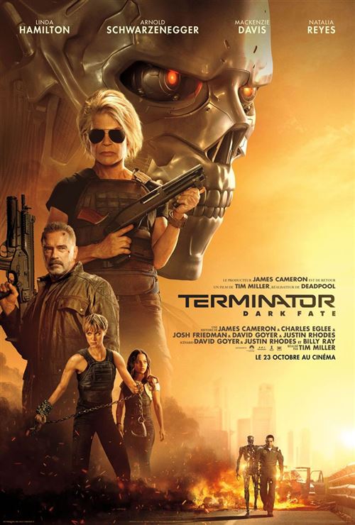 Terminator : Dark Fate - 2019 - Arnold Schwarzenegger - 40x60cm - Affiche État correct N/A reconditionné disponible sur Fnac