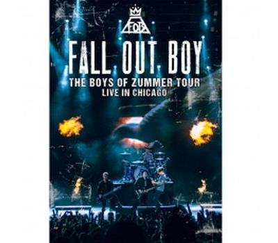 The Boys of Zummer Tour Live in Chicago Blu-ray État correct reconditionné disponible sur Fnac