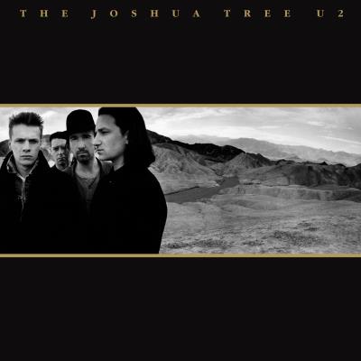 The Joshua Tree 30th Anniversary État correct reconditionné disponible sur Fnac