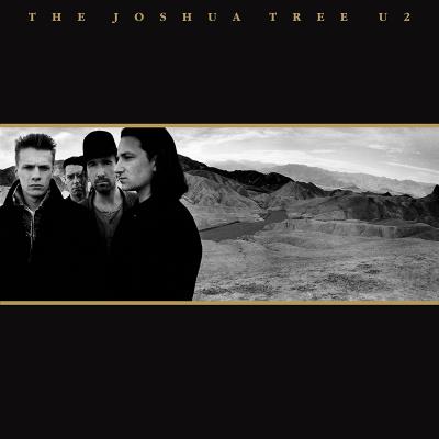 The Joshua Tree État correct reconditionné disponible sur Fnac | Dero