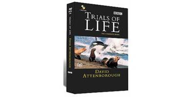 The Trials Of Life État correct reconditionné disponible sur Fnac