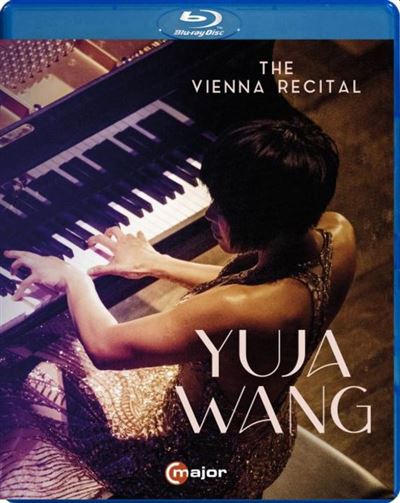 The Vienna Recital - Œuvres pour piano Blu-ray État correct - 31,55 € The Vienna Recital - Œuvres pour piano Blu-ray État correct reconditionné disponible sur Fnac