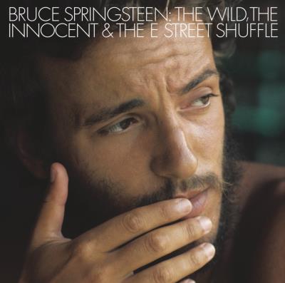 The Wild État correct - 19,08 € The Wild État correct reconditionné disponible sur Fnac
